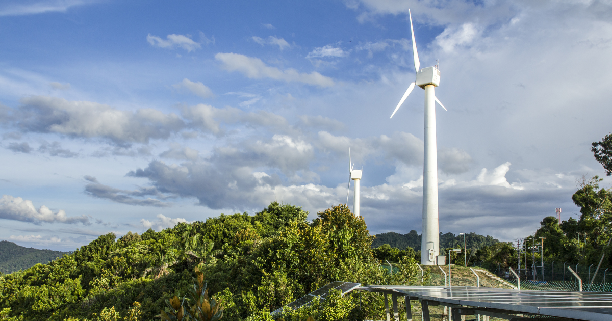 Procurement decision-makers can help accelerate these transitions by working with suppliers prioritizing carbon reduction, investing in renewable energy sources, like wind energy, and procuring energy-efficient materials.